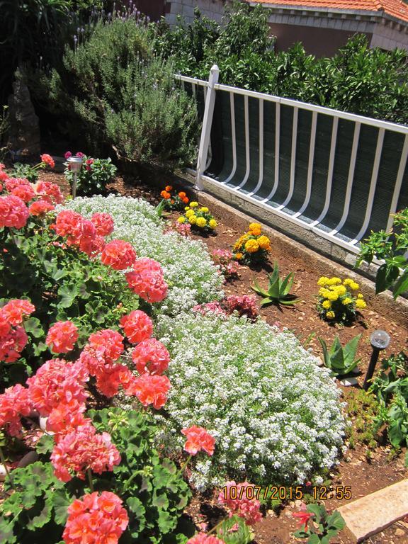 Guesthouse Korkyra Sun كورتْشولا المظهر الخارجي الصورة